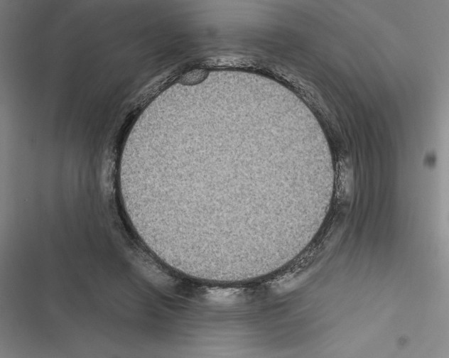 X0000116580450201001211308
