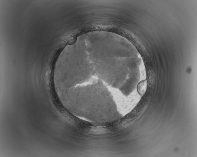 X0000116580451201001211308