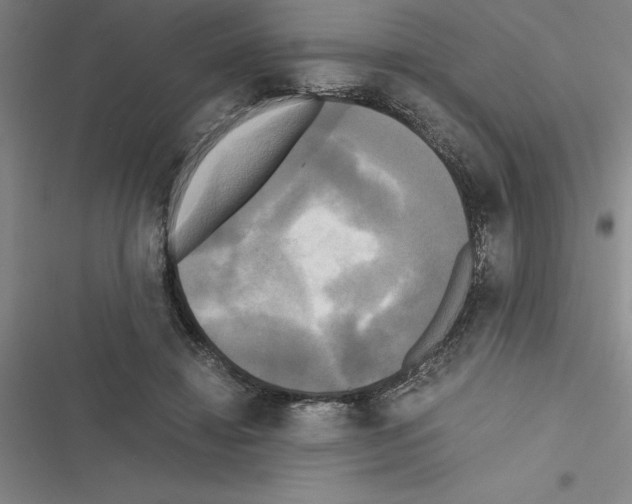 X0000116580452201001211308
