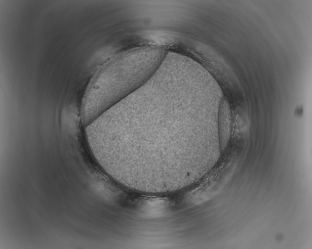 X0000116580456201001211308