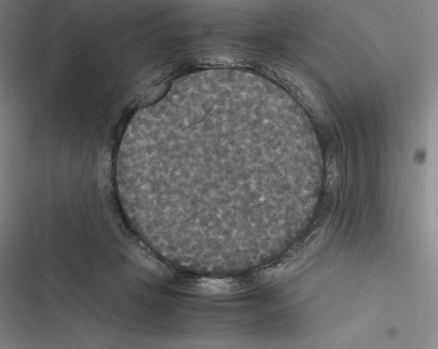 X0000116580457201001211308