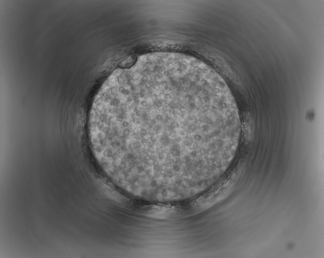 X0000116580458201001211308