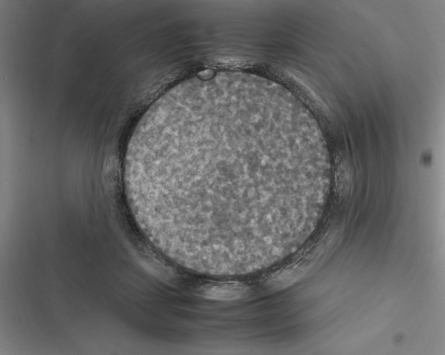 X0000116580459201001211308