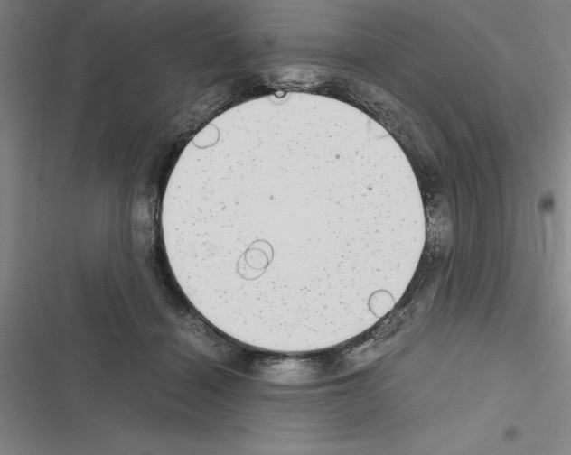 X0000116580460201001211308