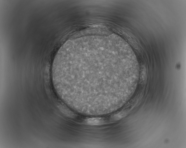 X0000116580461201001211308