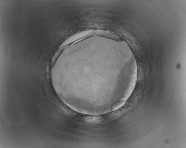 X0000116580465201001211308