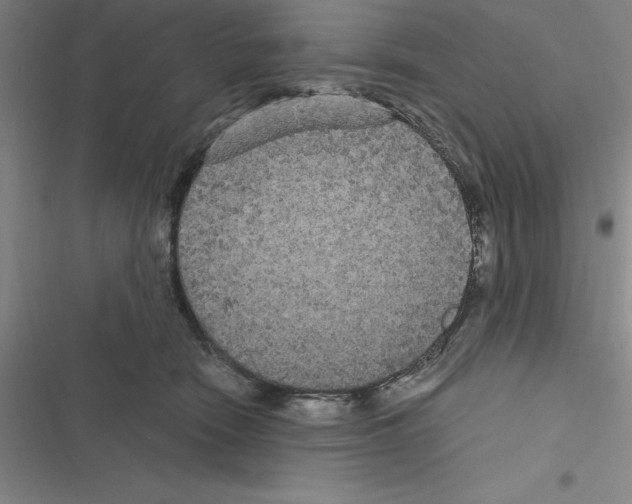 X0000116580466201001211308