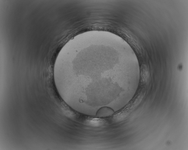 X0000116580467201001211308