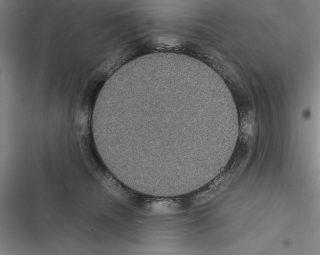 X0000116580468201001211308