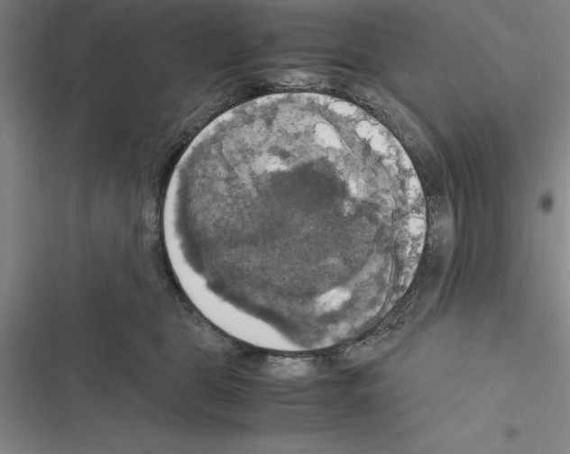 X0000116580469201001211308