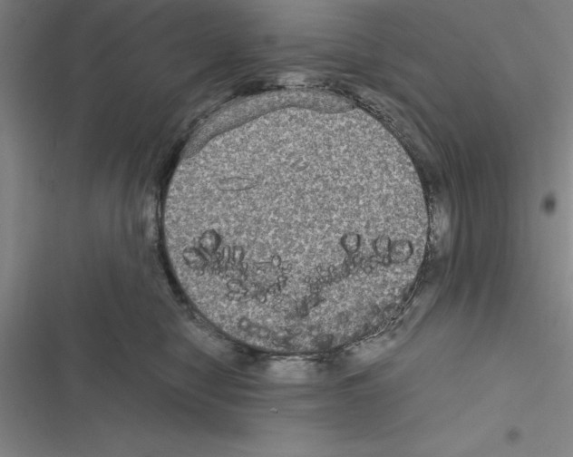 X0000116580470201001211308