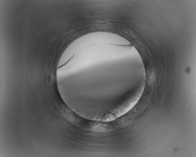 X0000116580471201001211308