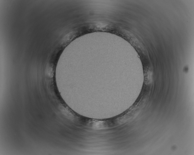 X0000116580472201001211308
