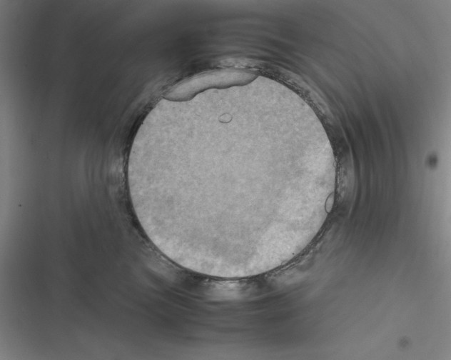 X0000116580473201001211308