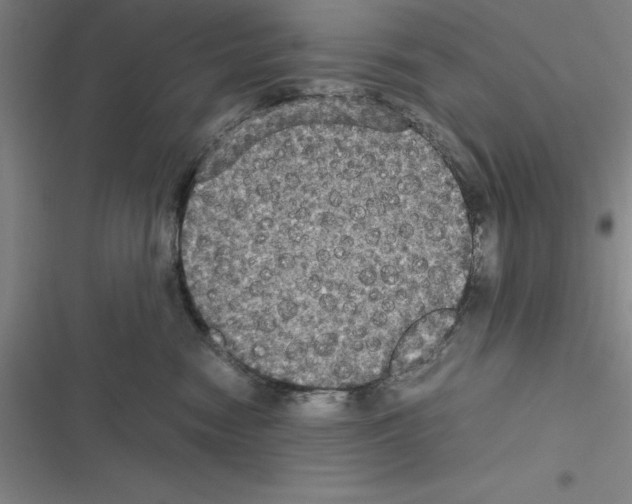 X0000116580474201001211308