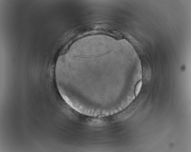X0000116580475201001211308
