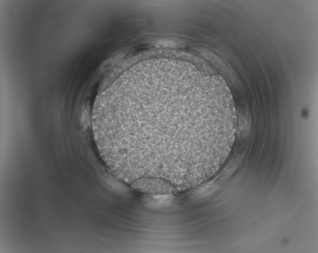 X0000116580478201001211308