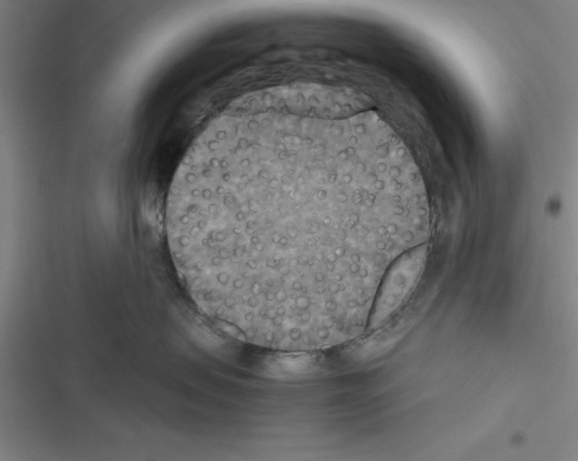 X0000116580479201001211308