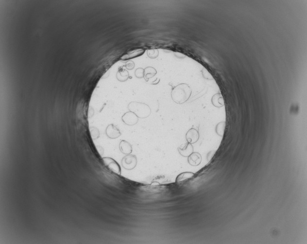 X0000116580480201001211308