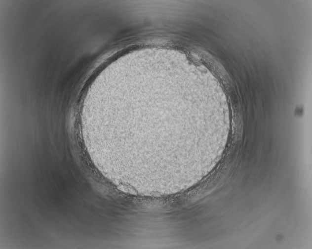 X0000116580483201001211308
