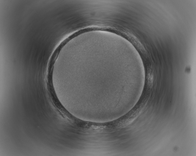 X0000116580484201001211308