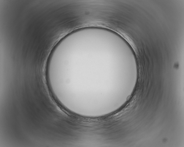 X0000116580485201001211308