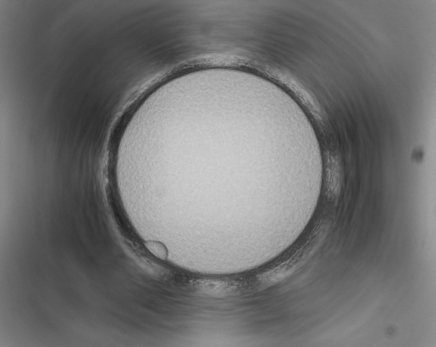 X0000116580486201001211308