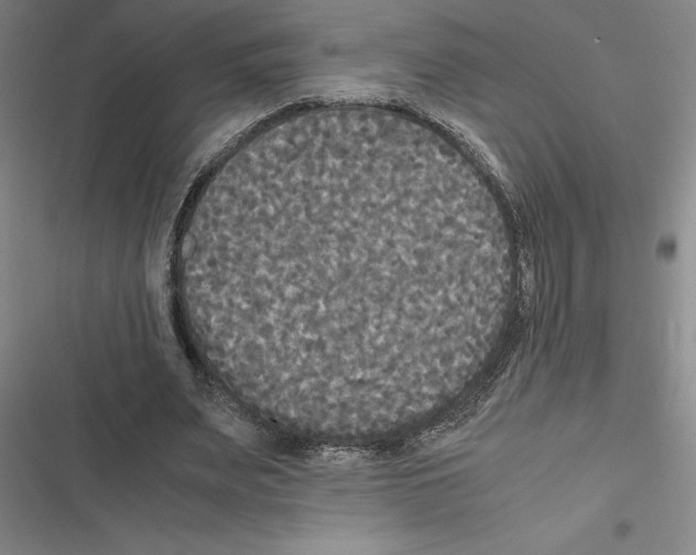 X0000116580487201001211308