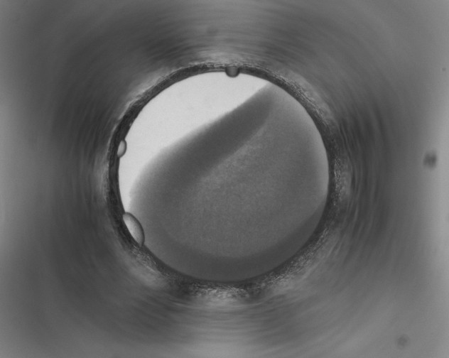 X0000116580488201001211308