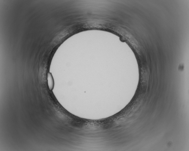 X0000116580489201001211308
