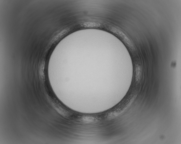 X0000116580490201001211307