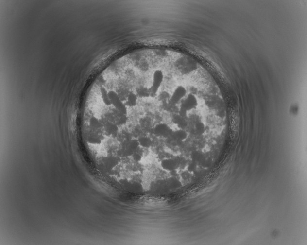 X0000116580491201001211307