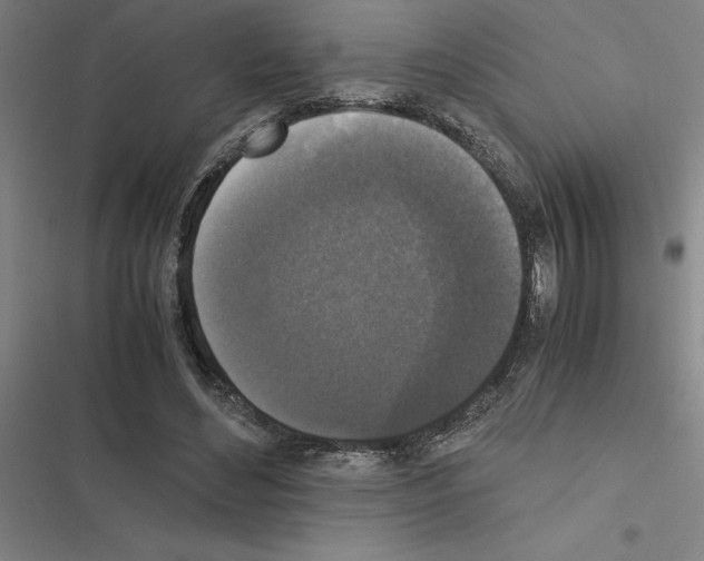 X0000116580492201001211307