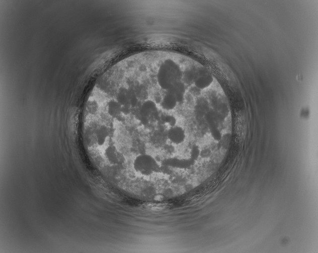 X0000116580495201001211307