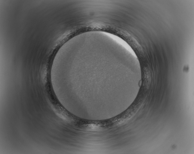 X0000116580496201001211307