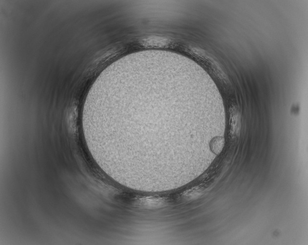 X0000116580498201001211307