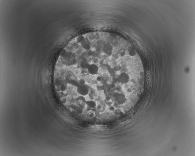 X0000116580499201001211307