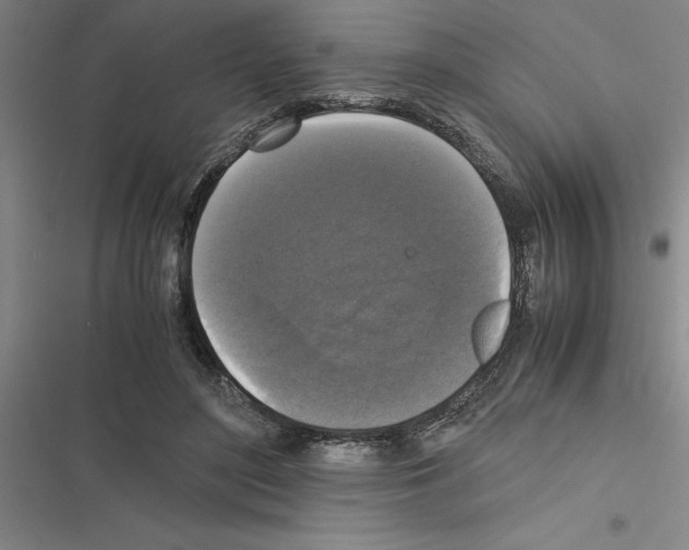 X0000116580500201001211307