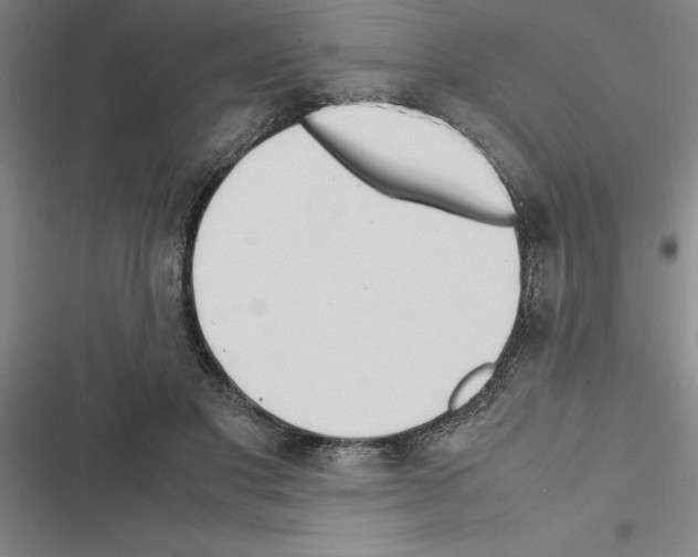 X0000116580501201001211307