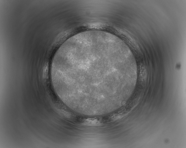 X0000116580502201001211307