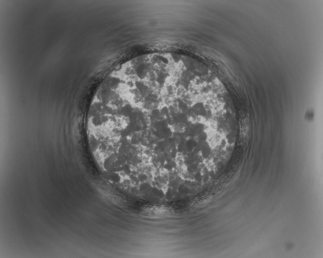 X0000116580503201001211307