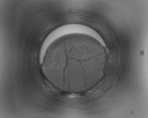 X0000116580504201001211307