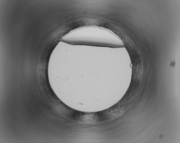 X0000116580505201001211307