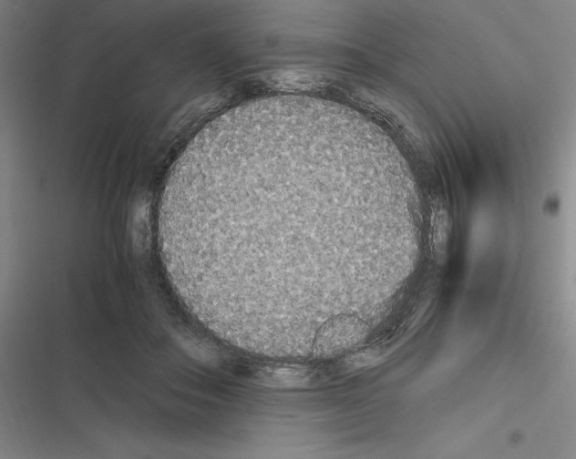 X0000116580506201001211307