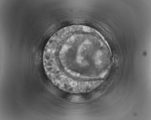 X0000116580507201001211307