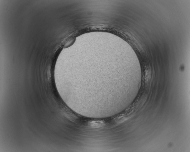 X0000116580508201001211307