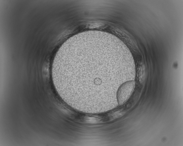 X0000116580510201001211307