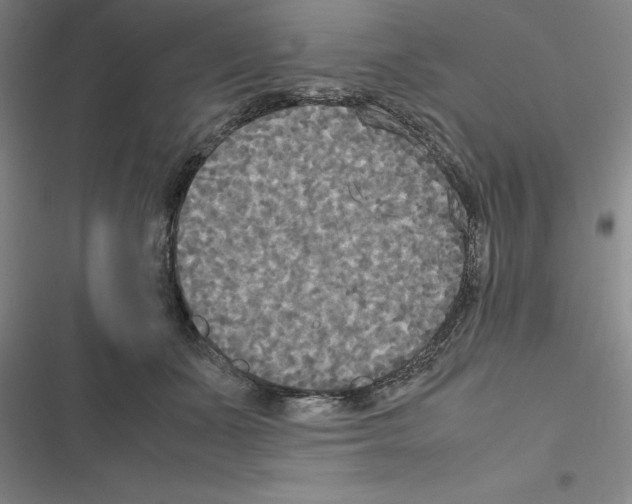X0000116580511201001211307