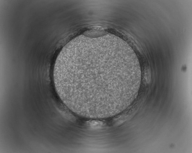 X0000116580512201001211307