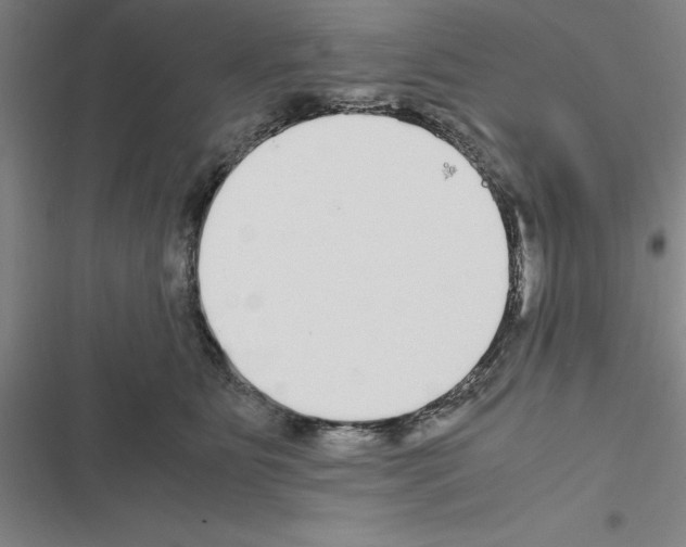 X0000116580515201001211307